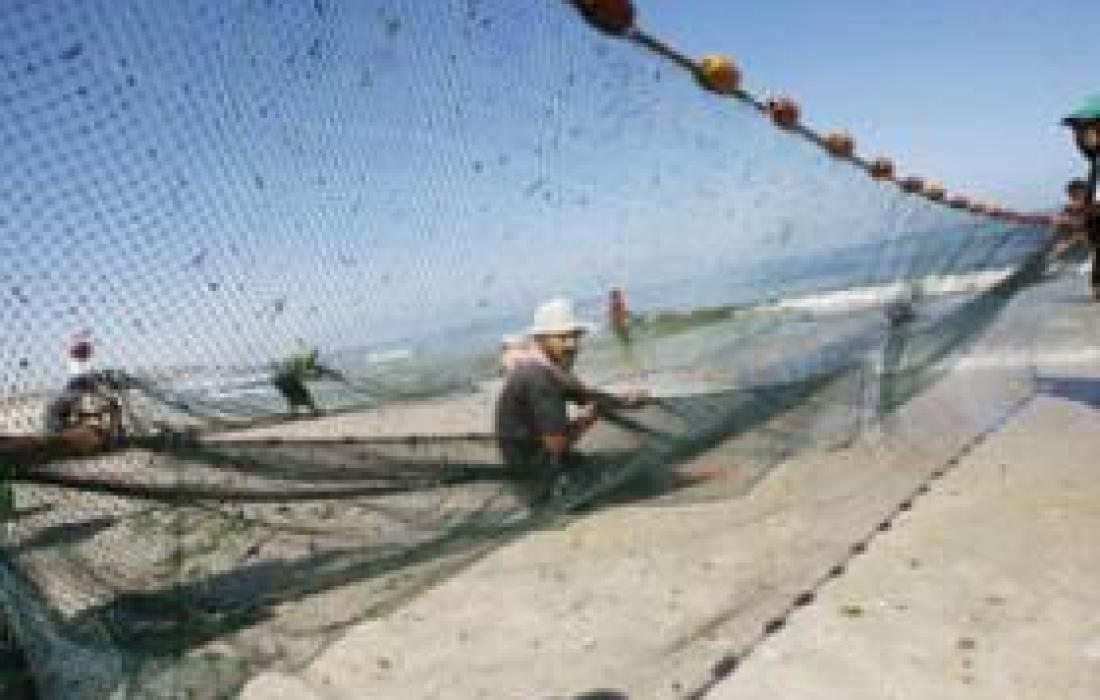 في غزة موسم صيد السمك مهدد بالضياع جراء استمرار الحصار البحري فلسطين اليوم