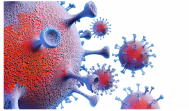 ما هو سبب انتشار فيروس ماربورغ- أعراض فيروس ماربورغ
