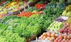 أسعار الخضروات في الأسواق بغزة اليوم- خضروات.jpeg