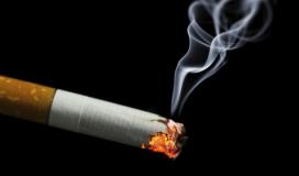 الصحة برام الله: 31.3% من الفلسطينيين مدخنون