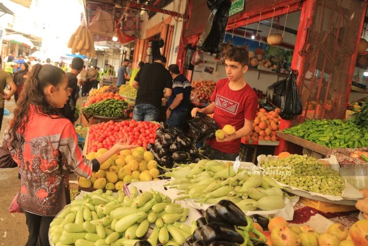 أسعار الخضروات والدجاج في غزة اليوم الثلاثاء 6 يونيو 2023
